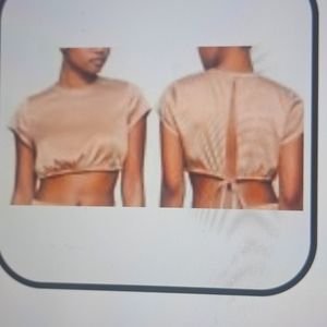 SKIMS SATIN SHINE CROP TOP  3X